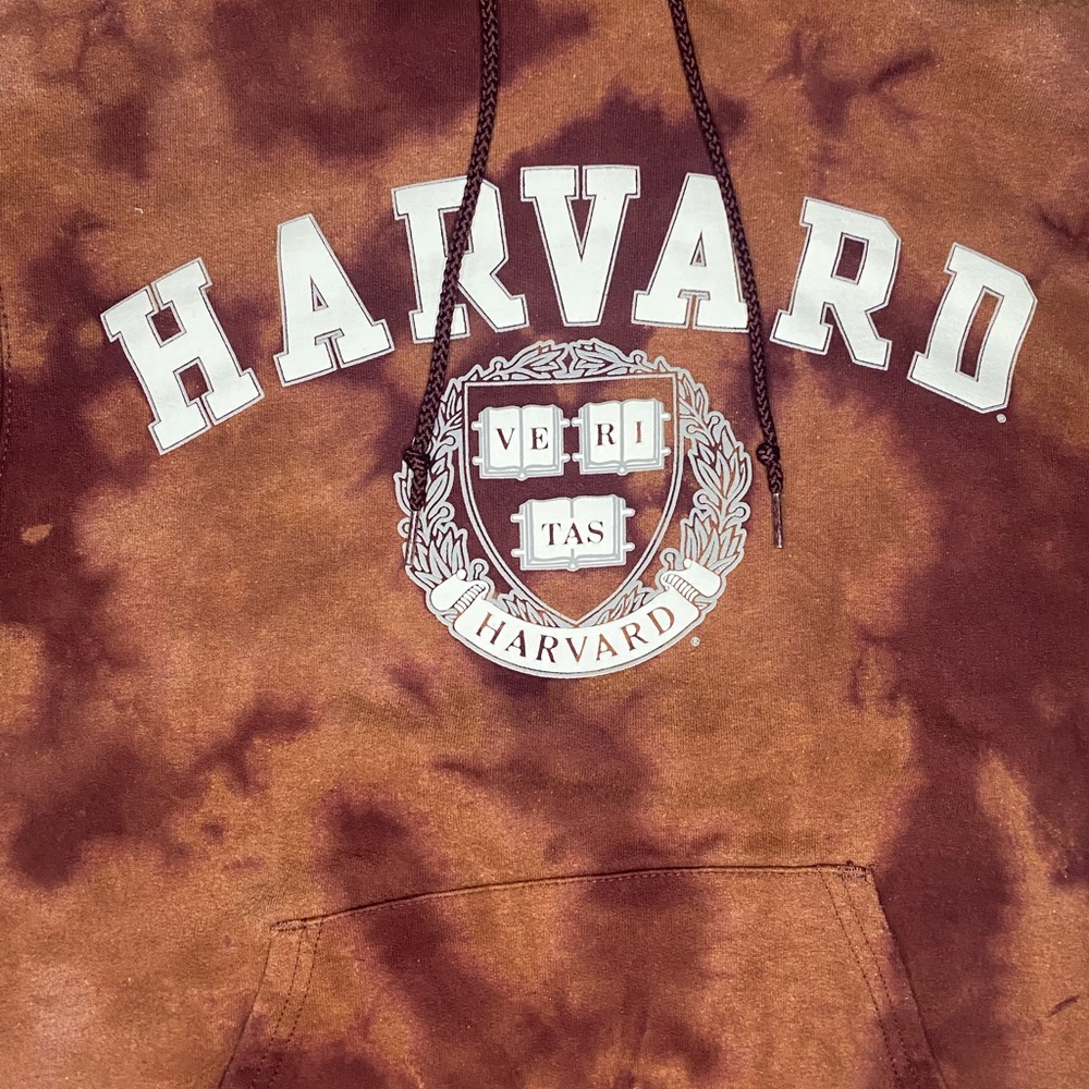 Harvard Reverse Dye Hoodie - Picture 3 of 4